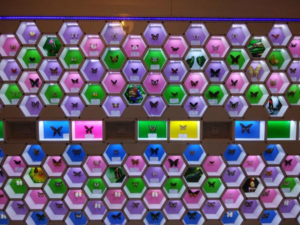 2014年公司員工活動——“蝶谷-靖港古鎮(zhèn)- 銅官窯一日自駕游” 2014年公司員工活動——“蝶谷-靖港古鎮(zhèn)- 銅官窯一日自駕游”